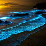 Ledakan Plankton Alami Sulap Laut Kepulauan Fiji Biru Menyala