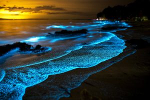 Ledakan Plankton Alami Sulap Laut Kepulauan Fiji Biru Menyala
