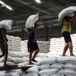 Strategi Cadangan Beras Nasional Hadapi Cuaca Ekstrem