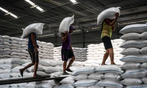Strategi Cadangan Beras Nasional Hadapi Cuaca Ekstrem