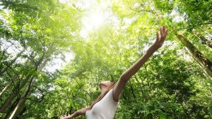 Rahasia Forest Bathing 15 Menit Pulihkan Otak Dari Burnout Layar