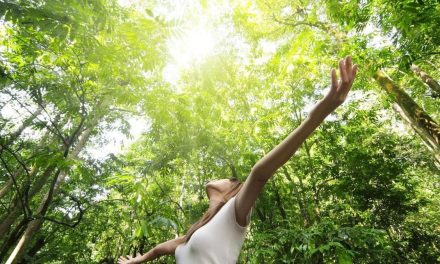 Rahasia Forest Bathing 15 Menit Pulihkan Otak Dari Burnout Layar